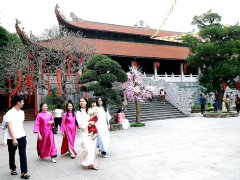 Đọc nhanh bài viết 1032900