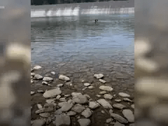 Đọc nhanh bài viết 1032919