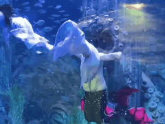 Đọc nhanh bài viết 1032983