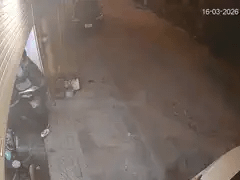 Đọc nhanh bài viết 1033010