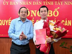 Đọc nhanh bài viết 1033179