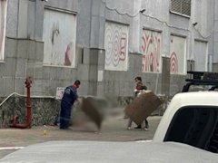 Đọc nhanh bài viết 1033216