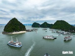 Đọc nhanh bài viết 1033219