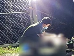 Đọc nhanh bài viết 1033231