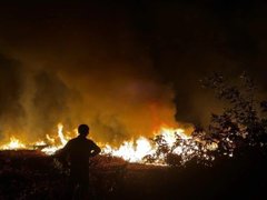 Đọc nhanh bài viết 1033250