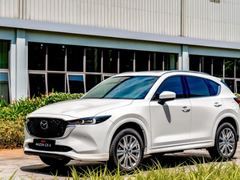 Đọc nhanh bài viết 1033286