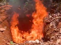 Đọc nhanh bài viết 1033329