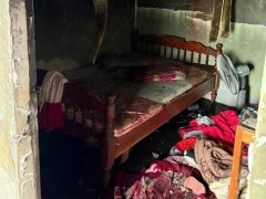 Đọc nhanh bài viết 1033372