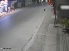 Đọc nhanh bài viết 1033408