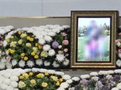 Đọc nhanh bài viết 1033471