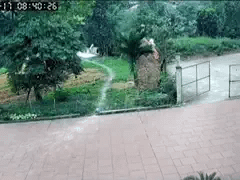 Đọc nhanh bài viết 1033513