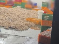 Đọc nhanh bài viết 1033522