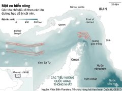 Đọc nhanh bài viết 1033568