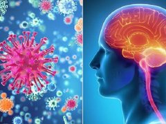 Đọc nhanh bài viết 1033601