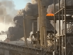 Đọc nhanh bài viết 1033610