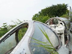 Đọc nhanh bài viết 1033611