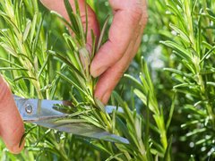 Đọc nhanh bài viết 1033642