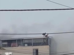 Đọc nhanh bài viết 1033668