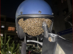 Đọc nhanh bài viết 1033746