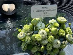 Đọc nhanh bài viết 1033780