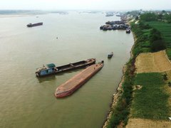 Đọc nhanh bài viết 1033817