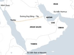 Đọc nhanh bài viết 1033862