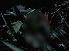 Đọc nhanh bài viết 1034095