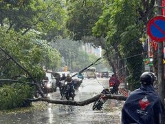 Đọc nhanh bài viết 1034131