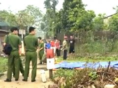 Đọc nhanh bài viết 1034161