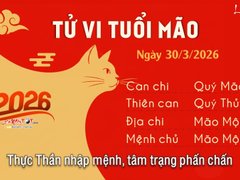 Đọc nhanh bài viết 1034173