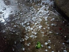 Ảnh bìa bài viết