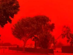 Đọc nhanh bài viết 1034212