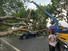 Đọc nhanh bài viết 1034221