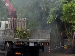 Đọc nhanh bài viết 1034261