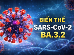 Đọc nhanh bài viết 1034307