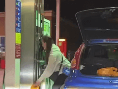 Đọc nhanh bài viết 1034332