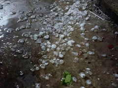 Đọc nhanh bài viết 1034366