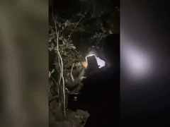 Đọc nhanh bài viết 1034454