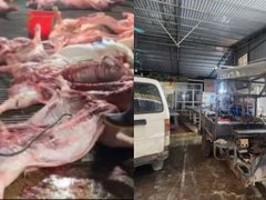 Đọc nhanh bài viết 1034474