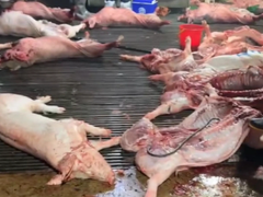 Đọc nhanh bài viết 1034509