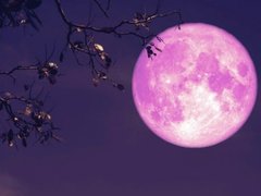 Đọc nhanh bài viết 1034518