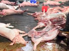 Đọc nhanh bài viết 1034602