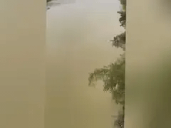 Đọc nhanh bài viết 1034606