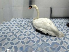 Đọc nhanh bài viết 1034643