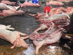 Đọc nhanh bài viết 1034664