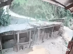 Đọc nhanh bài viết 1034706