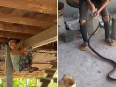 Đọc nhanh bài viết 1034728