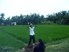 Đọc nhanh bài viết 1034744