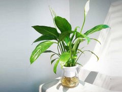 Đọc nhanh bài viết 1034794