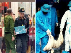 Đọc nhanh bài viết 1034821